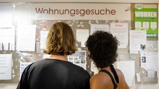 Mann und Frau betrachten Wohnungssuche-Anzeigentafel an einer Universität 
