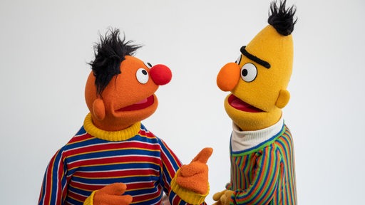 Die Figuren Ernie und Bert aus der Sesamstraße, aufgenommen in einem Fotostudio anlässlich des 50. Jubiläums der Sesamstraße. Im Januar 2023 feiert die deutsche Sesamstraße ihr 50-jähriges Jubiläum. 
