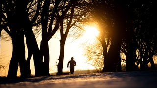Ein Jogger läuft bei Sonnenaufgang am Werdersee entlang. Die Bäume sind kahl und es ist Winter.