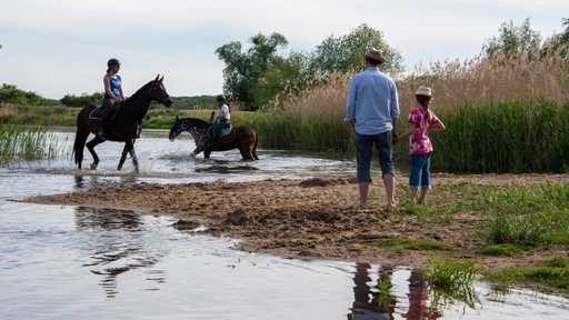 Drei Reiterinnen durchqueren mit ihren Pferden die Ehle bei Biederitz. Ein Vater beobachtet das Treiben mit seiner Tochter.