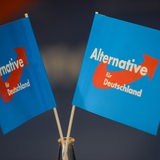 Brandenburg: Fähnchen der Partei stehen beim AfD Parteitag des Landesverbands in Brandenburg auf dem Tisch.