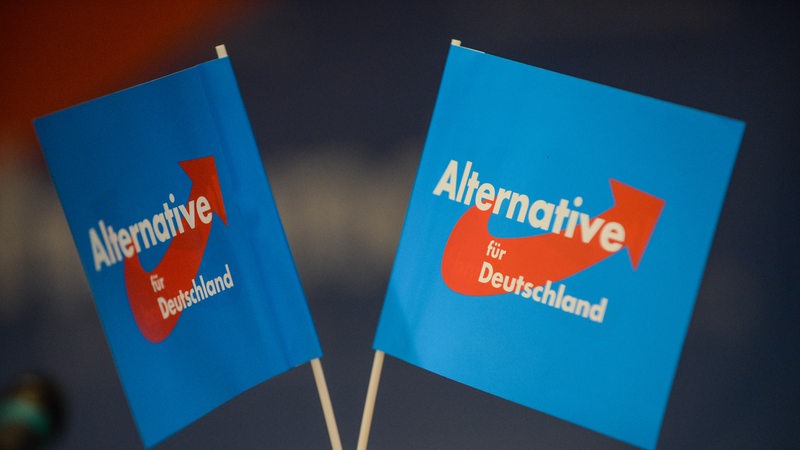 Brandenburg: Fähnchen der Partei stehen beim AfD Parteitag des Landesverbands in Brandenburg auf dem Tisch.