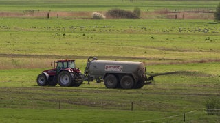 Ein Traktor fährt über ein Feld. Gülle spritzt aus einem Anhänger.