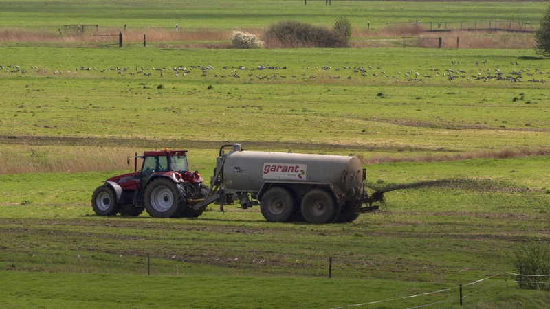 Ein Traktor fährt über ein Feld. Gülle spritzt aus einem Anhänger.
