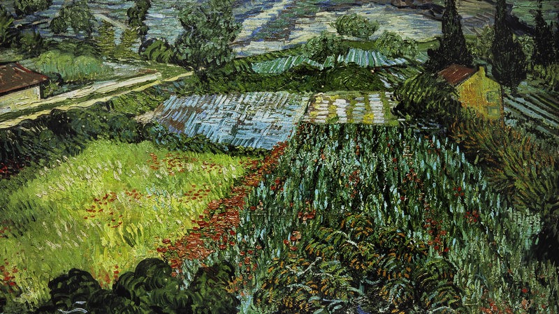 Gemälde "Mohnfeld" von van Gogh