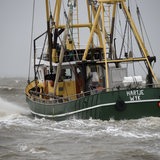 Ein Fischkutter fährt über die stürmische Nordsee