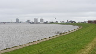 Ein Deichabschnitt an der Weser
