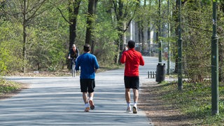 Zwei Jogger laufen durch einen Park