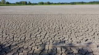 Symbolbild zeigt ein ausgetrocknetes Flussbett (Plane) in Brandenburg