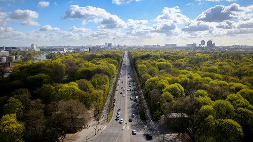 Blick von der Siegessäule in Berlin auf den Tiergarten im Gegenlicht der Frühlingssonne.