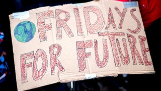 Auf einem Schild steht "Fridays for Future".