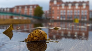 Regenwetter in Bremen an der Schlachte: Blätter liegen in einer Pfütze (Archivbild)