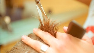 Einem Mann werden die Haare geschnitten (Symbolbild)