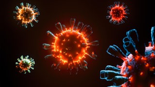 Eine Coronavirus-Zelle in mikroskopischer Darstellung