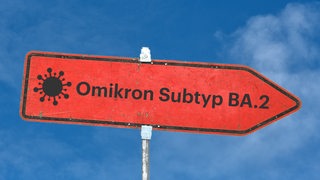 Schild mit den Worten "Omikron Subtyp BA.2 (Symbolbild)