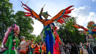 Menschen in bunten Verkleidungen machen bim 37. Bremer Sambakarneval mit. (Archivbild) 