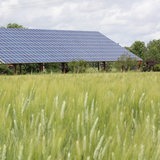 Solaranlage auf einem Getreidefeld (Symbolbild)