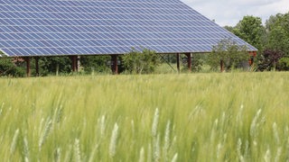 Solaranlage auf einem Getreidefeld (Symbolbild)