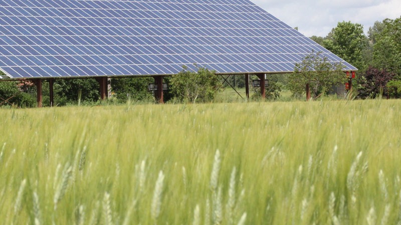 Solaranlage auf einem Getreidefeld (Symbolbild)