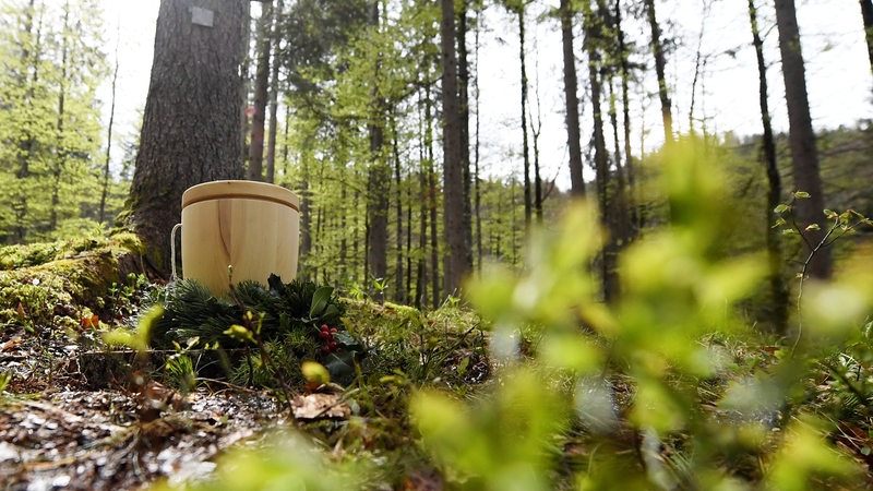Eine Urne steht in einem Naturfriedhof vor einem Baum