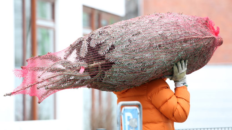 Ein Mann trägt einen Weihnachtsbaum, den er zuvor gekauft hat (Symbolbild)