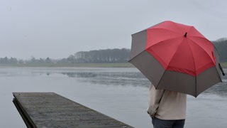 Eine junge Frau steht mit einem Regenschirm auf einem Steg am Werdersee in Bremen