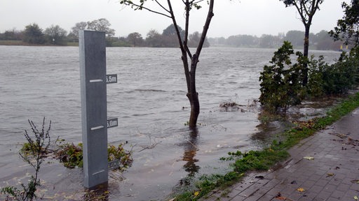 Die Weser trat im Oktober 2014 über ihre Ufer.