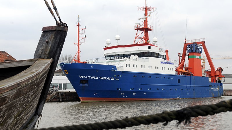 Das Fischereiforschungsschiff "Walther Herwig III" liegt an seiner Pier im Fischereihafen von Bremerhaven.