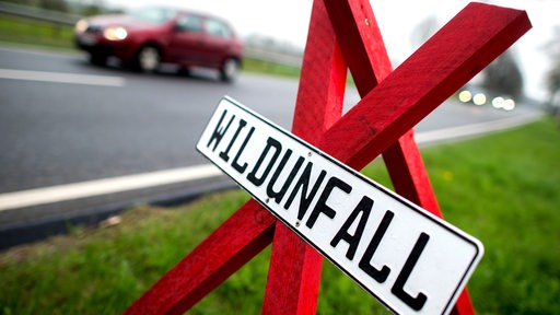 Ein Schild mit der Aufschrift "Wildunfall" neben einer Landstraße.