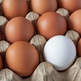 Weiße und braune Eier.