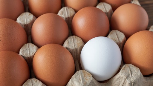 Weiße und braune Eier.