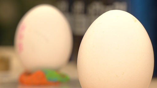 Zwei Eier in einem Eierbecher.
