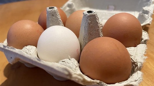 Ein Eierkarton mit braunen und einem weißen Ei