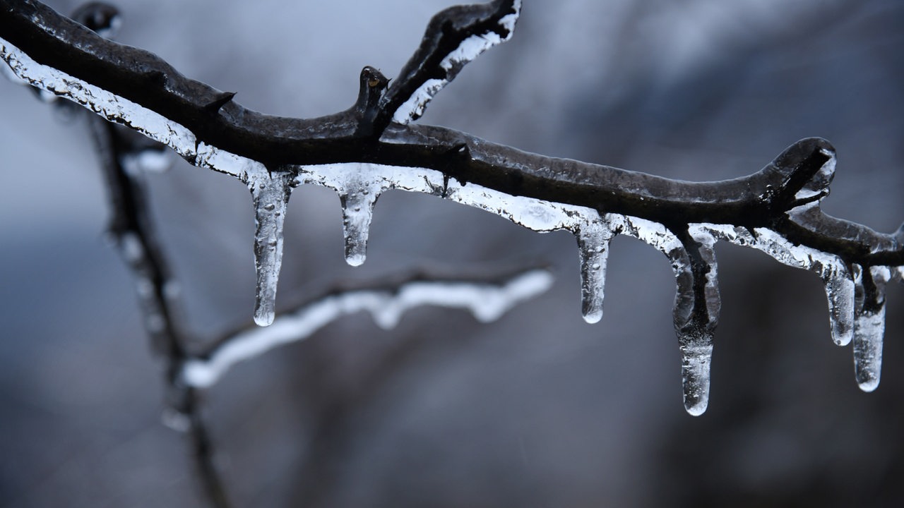 https://www.butenunbinnen.de/bilder/eis-frost-ast-winter-100~_v-1280x720_c-1704390075885.jpg