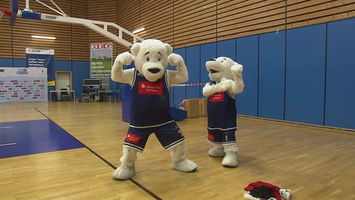 Zwei Eisbären Maskottchen in der Basketball Halle der Eisbären Bremerhaven. 