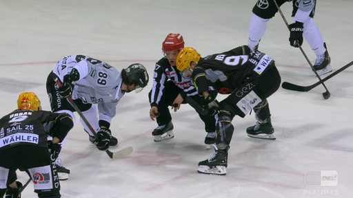 Zwei Spieler stehen sich auf einem Eishockeyfeld vor dem Anstoß gegenüber, der Schiedsrichter ist kurz davor den Puck freizugeben
