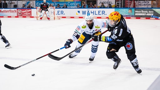 Ein Eishockey-Spieler der Fischtown Pinguins und einer der Eisbären Berlin kämpfen verbissen um den Puck.