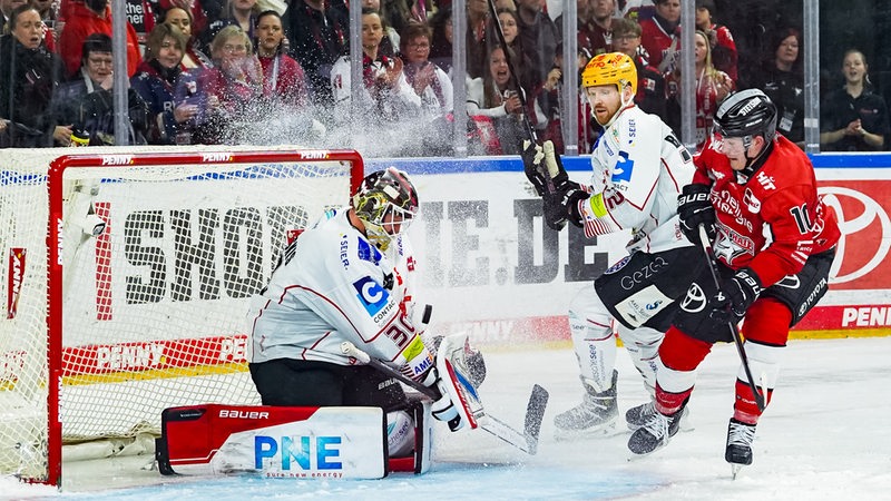 Kölns Justin Schütz erzielt ein Tor gegen die Fischtown Pinguins.