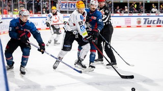 Eishockey-Spieler der Fischtown Pinguins im beherzten Kampf um den Puck gegen die Nürnberg Ice Tigers.
