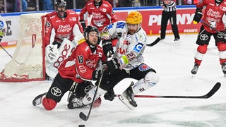 Ein Eishockey-Spieler der Fischtown Pinguins im verbissenen Zweikampf mit einem Spieler der Kölner Haie.