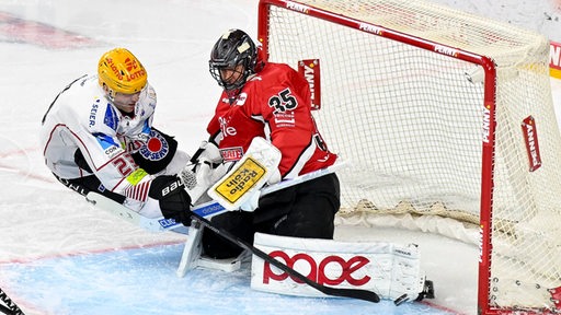 Max Görtz von den Fischtown Pinguins umkurvt den Torwart der Kölner Haie und schiebt den Puck ins Tor.