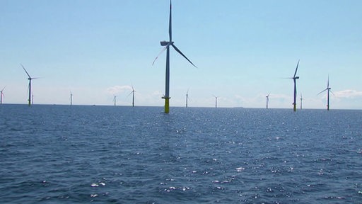 Mehrere Windräder stehen in der Nordsee