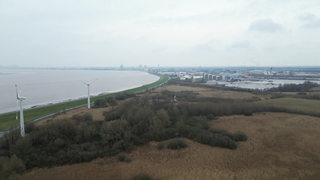 Blick aus der Luft auf eine Wiese am Wasser.