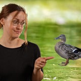 buten-un-binnen-Redakteurin Mirjam Benecke schaut zur Seite auf eine Ente, die neben ihr im Bild montiert ist.
