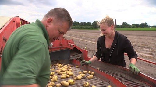 Hofbesitzer Henning Holste und Erntehelferin Mihai Grigoras auf dem Acker beim Kartoffeln aussortieren.