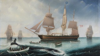 Das Schiff Europa wird begleitet von mehreren Schiffen im Hintergrund. Vor den Schiffen sitzen Menschen in kleinen Booten und jagen Wale.