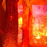 Man sieht einen Brand mit Baumstämmen im Vordergrund