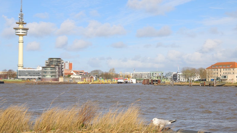 Blick auf die Skyline von Bremerhaven. Im Vordergrund sitzt eine Möwe.