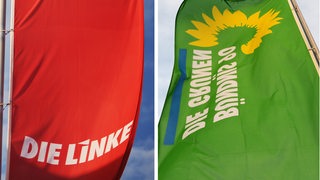 Das Bild zeigt zwei Flaggen: Auf der linken Seite eine rote Flagge mit der Aufschrift "DIE LINKE", auf der rechten Seite grüne eine Flagge mit der Aufschrift "BÜNDNIS 90 DIE GRÜNEN".