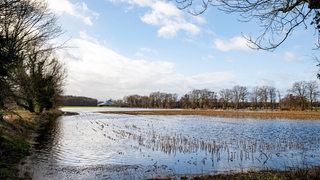 Ein überschwemmtes Feld
